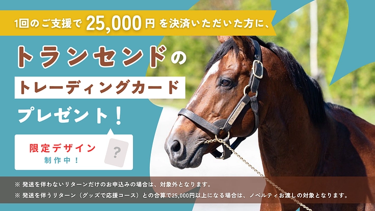 より多くの引退馬の幸せな余生を願う|ヴェルサイユ新厩舎プロジェクト 2枚目
