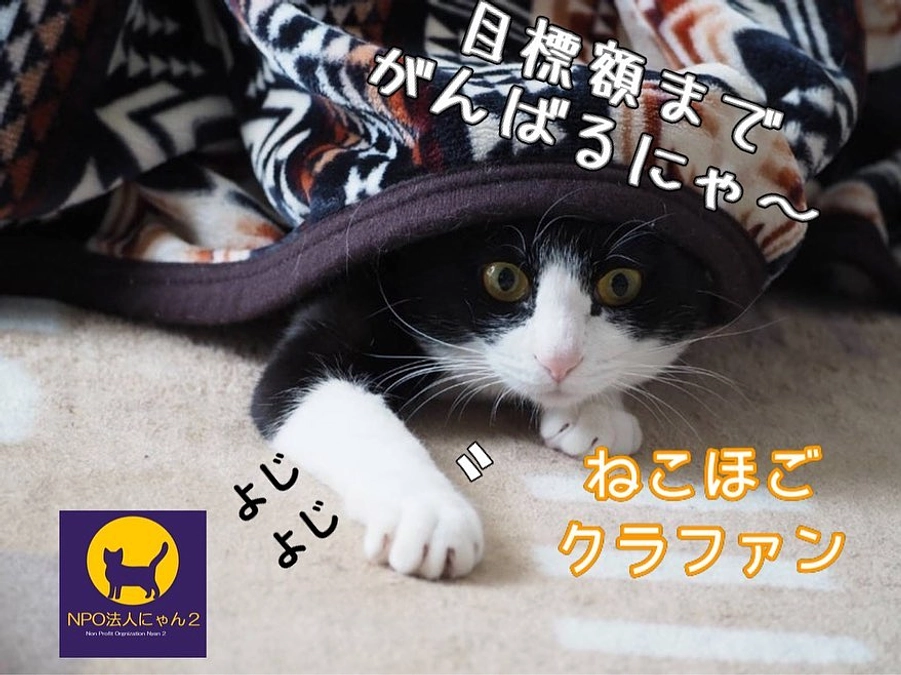 おはようございます！プロジェクト4日目になりました❣