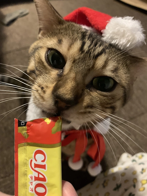 メリークリスマス