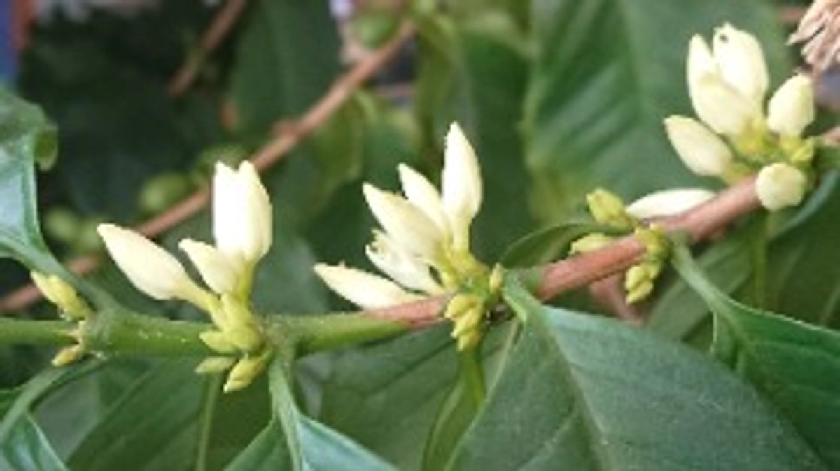 残り1日！　支援者がぞくぞく増えています！！