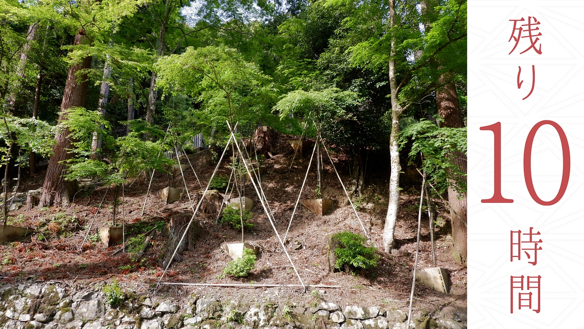 【残り10時間】第一目標達成の御礼とネクストゴールについて