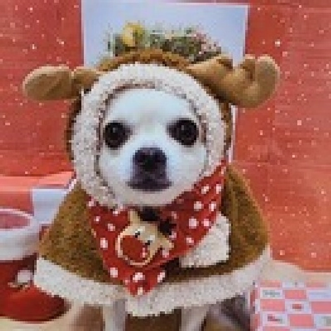 お客様の声（３）・たくさんの応援ありがとうございます