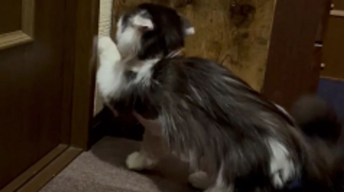 11/7のテオくんの様子