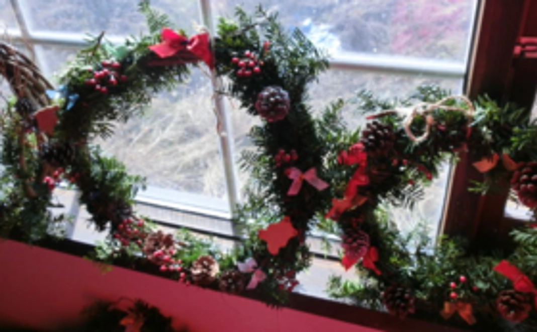 【体験】森林野会会員資格+体験教室参加券