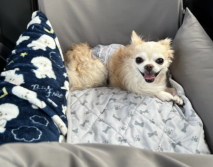 8/30 退院後初めての検診に行ってきました。。