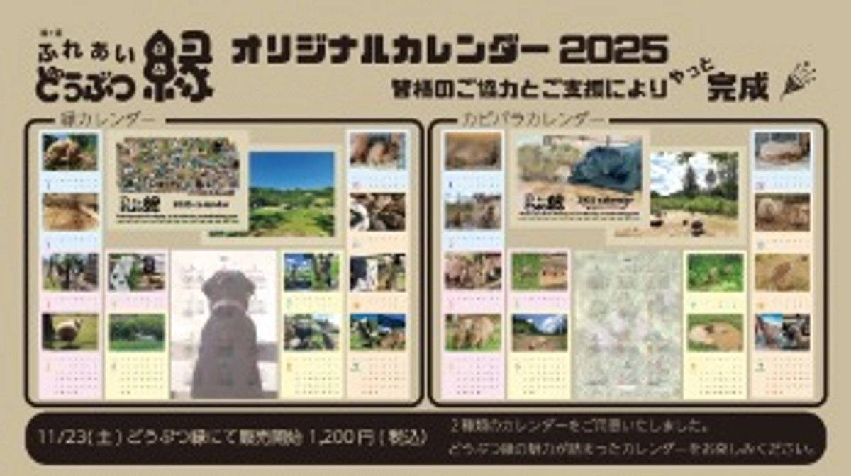 工事が開始しました！そして2025年カレンダー販売開始！