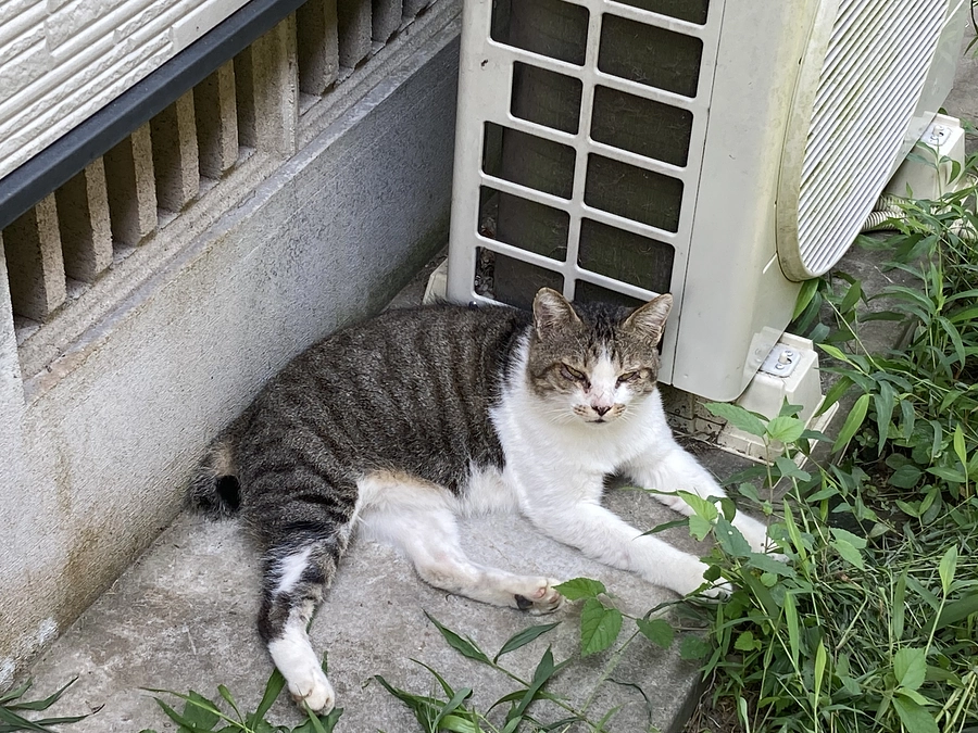 目が見えていないかもしれません