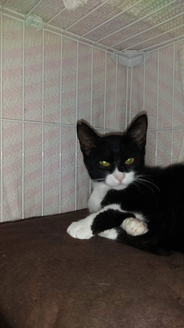 里親様の幸せ便り