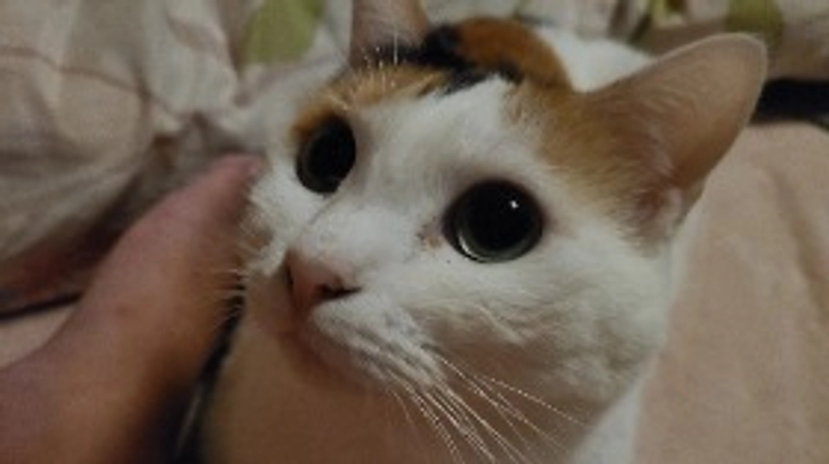 達成率110%です！