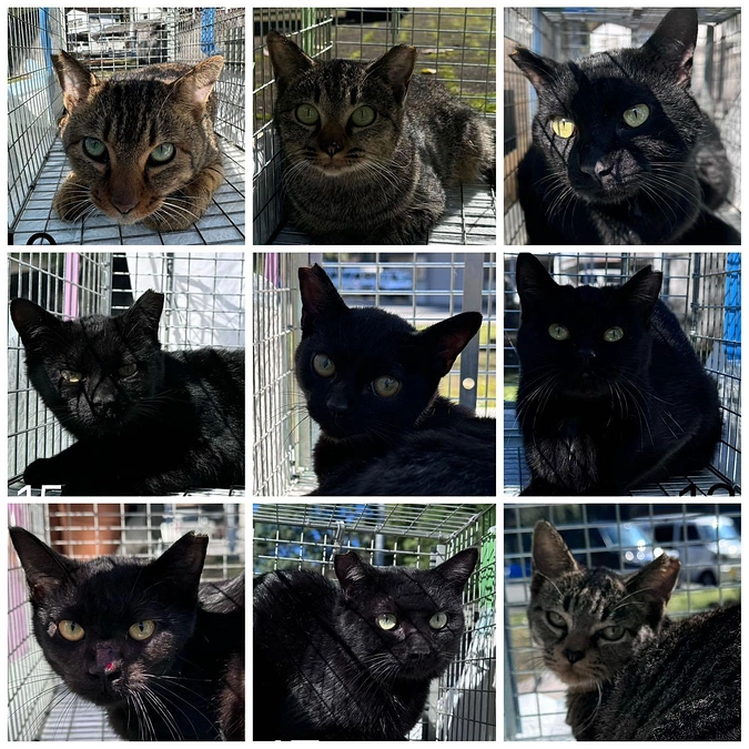 夢幸サポートプログラム、大分県へ初進出！