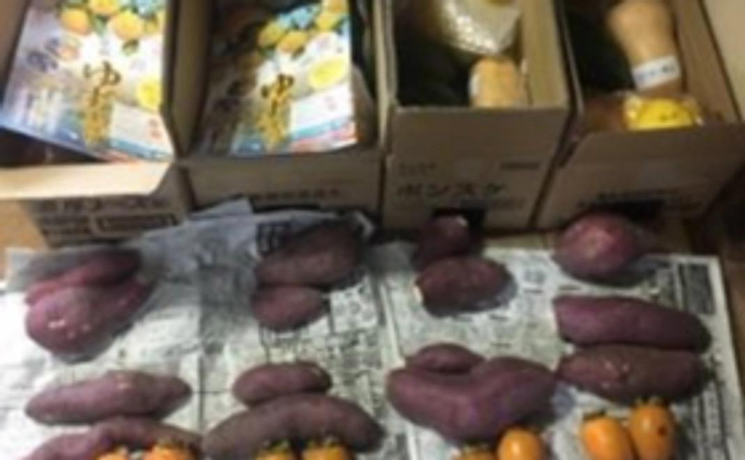 【ご自宅でも砺波を体感！】すどまりとなみ産農作物詰め合わせセット