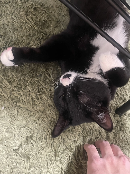 プロジェクト残り2日！