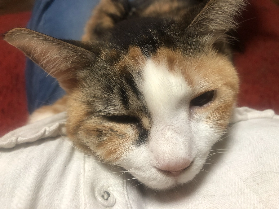 経過報告◆退院後　4・5週目