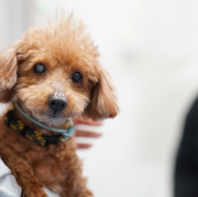 代理支援御礼m(_ _)m