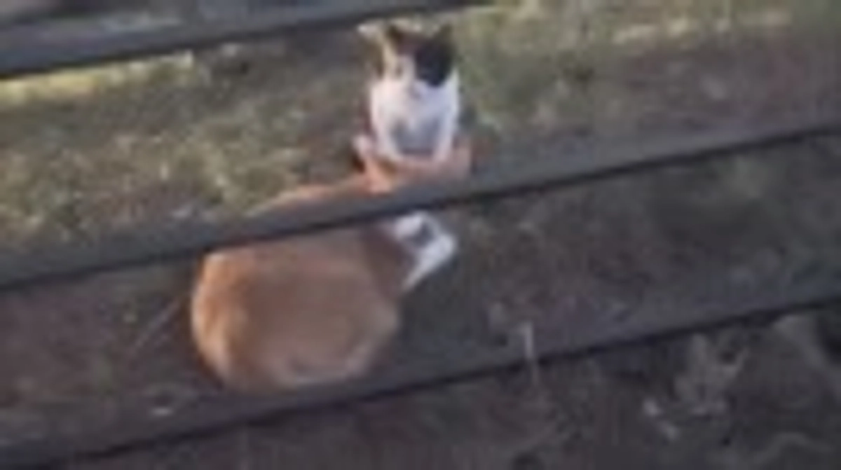 いよいよ始まります。