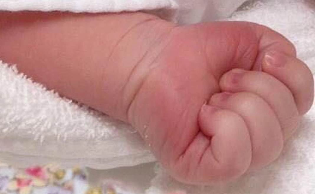 サポーター1,000円コース