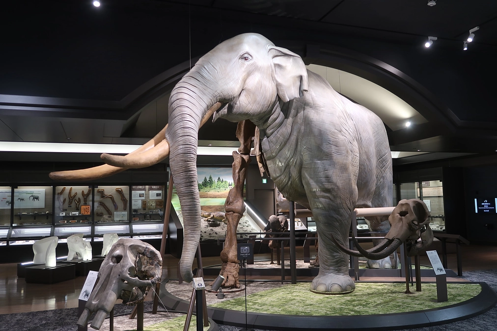 【リターン紹介④】DEEP解説A展示