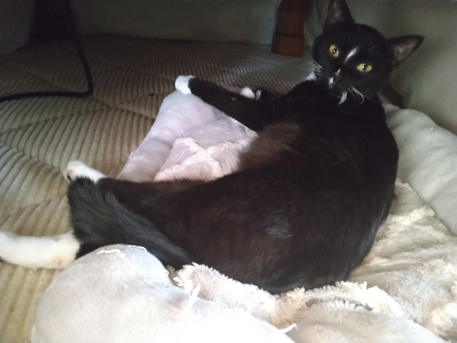 3/11はなちゃんの様子