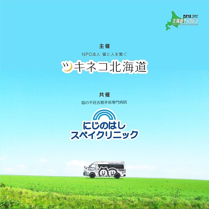 北海道内TNR手術ツアーへ行って来ます！