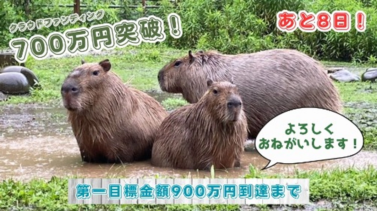 700万円達成！！またまたリターン追加しました！