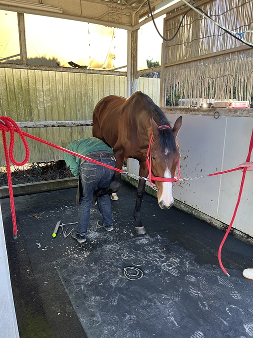 残すはナムアミダブツの蹄鉄