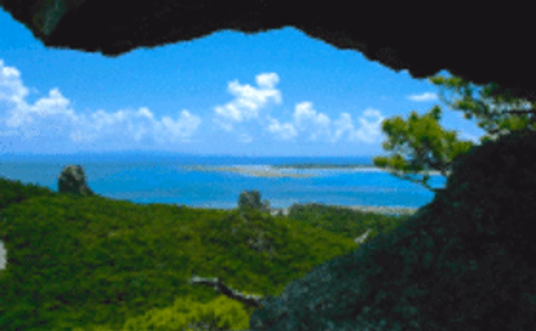 【お礼のメール】