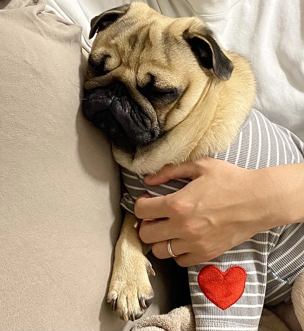 残り５時間となりました！あと２３万３０００円足りません、、、。