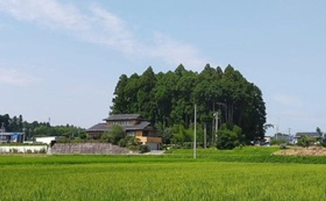 【ゲストハウス宿泊プラン①】