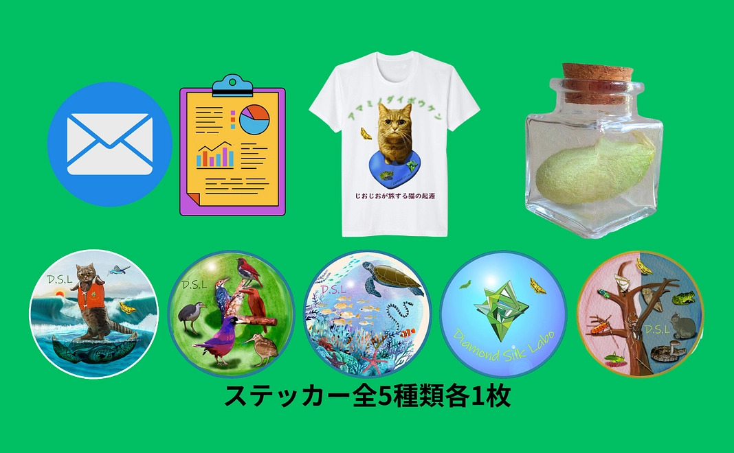 感謝のメールと活動報告+アマミヤママユガの繭+アマミノダイボウケンTシャツ+オリジナルステッカー5種類