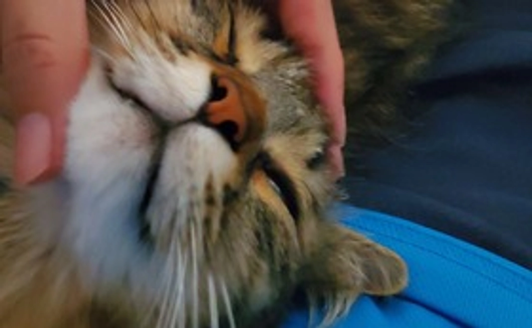 お礼のメール２