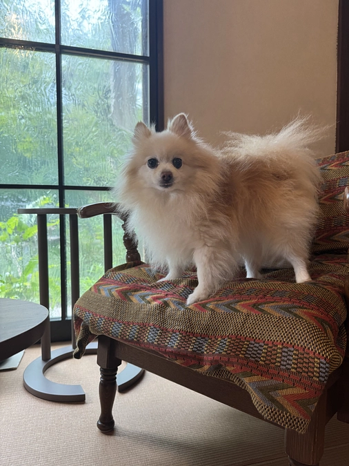 手術から2日経ちました