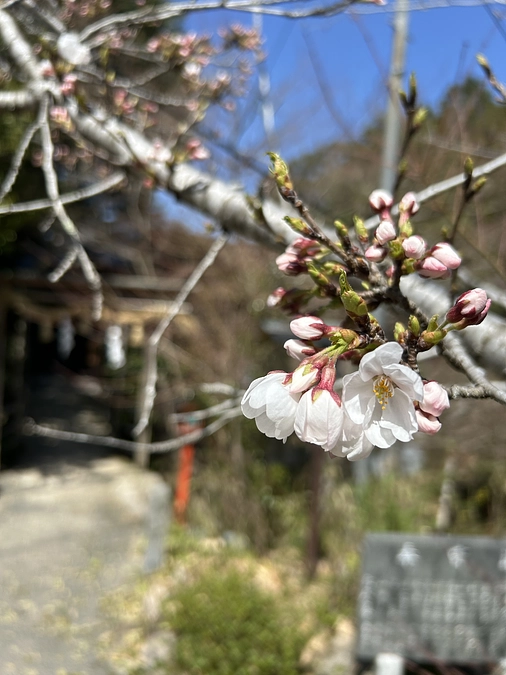 返礼品について