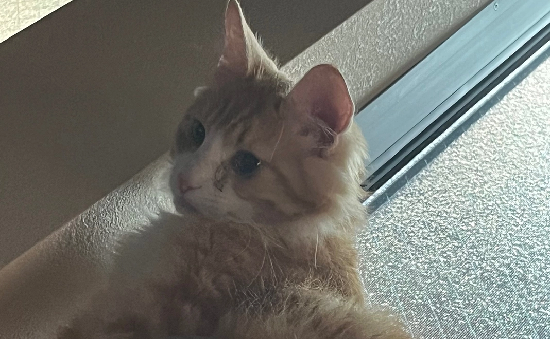 リターン不要　500円