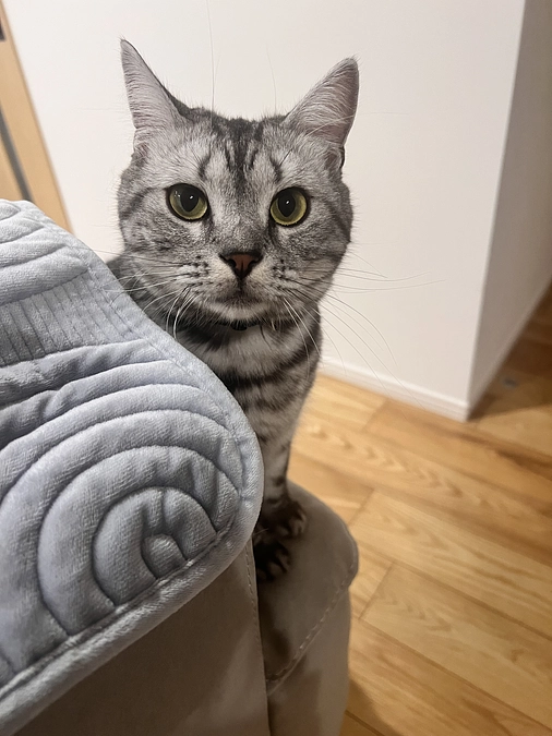 リターン送付完了しました！