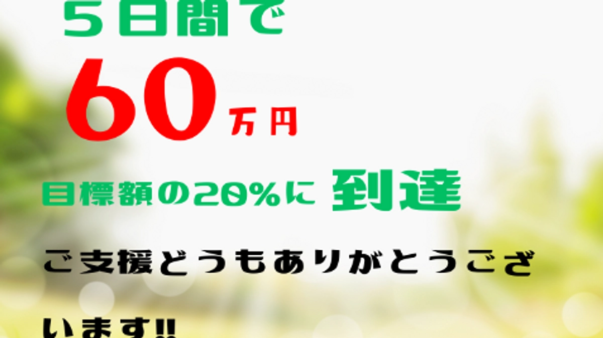 第6弾プロジェクト【60万円突破！】あわねこ保育園の毎日