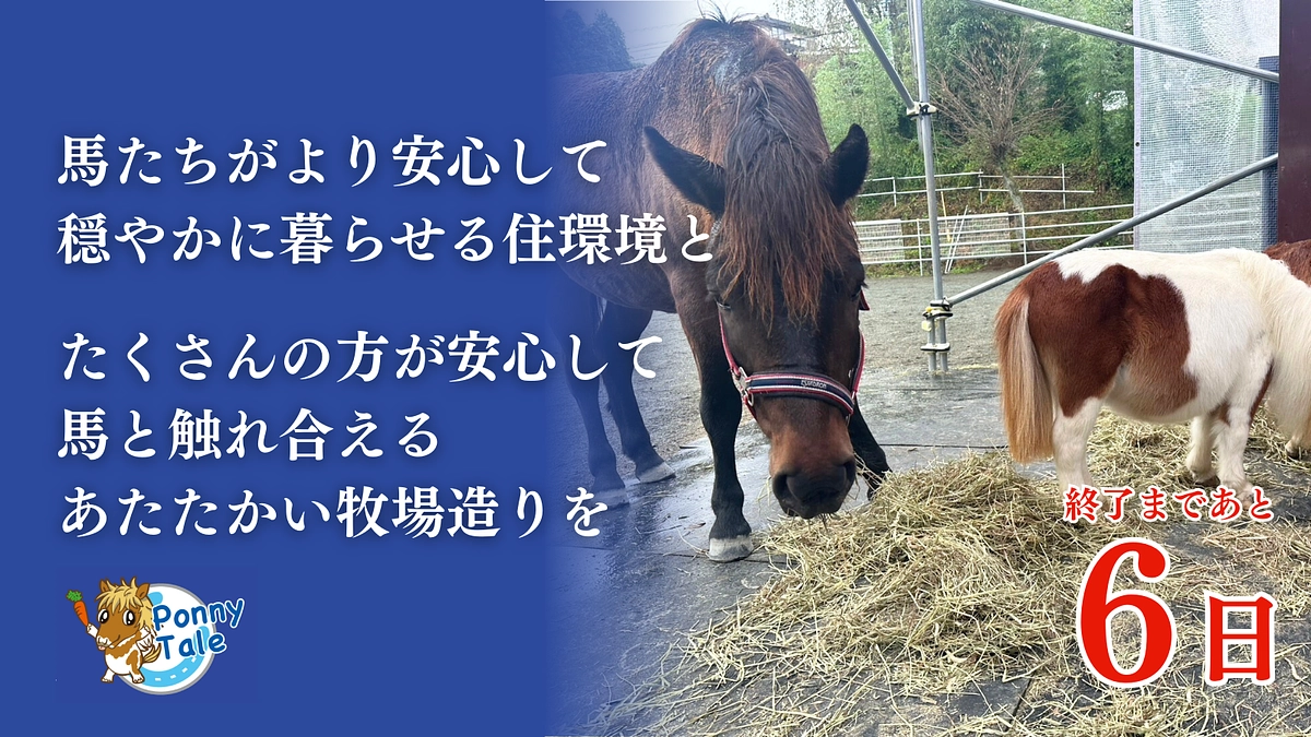 【残り6日】500万円の達成を夢見て、最後まで発信します