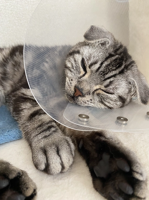 2023.7.4🔥 #闘病生活 77日目🔥