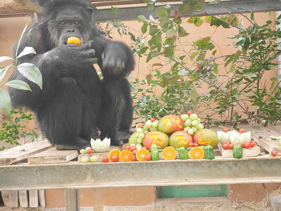 ススムの快気祝い