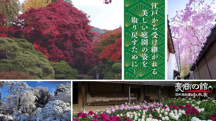 田中本家博物館|倒木の危機。事故を防ぎ、日本庭園再生にご支援を!