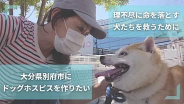 理不尽に命を落とす犬達を救うホスピス型の動物シェルターを作りたい！ のトップ画像