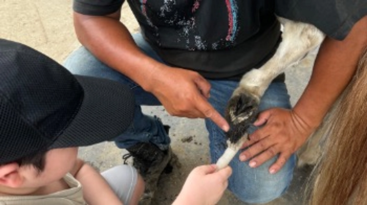 笑顔いっぱいの牧場体験