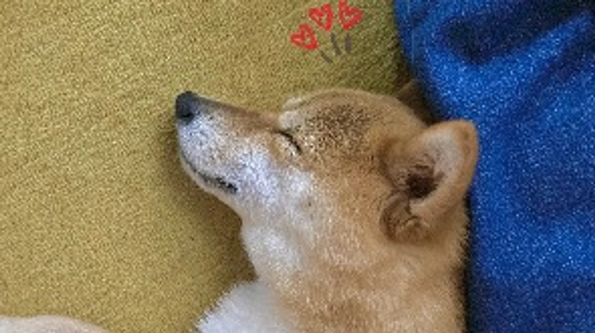 70%まできました！【あと12日】