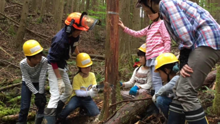 「健康な森ってどんな森？」を学ぶきこり体験を子どもたちに！
