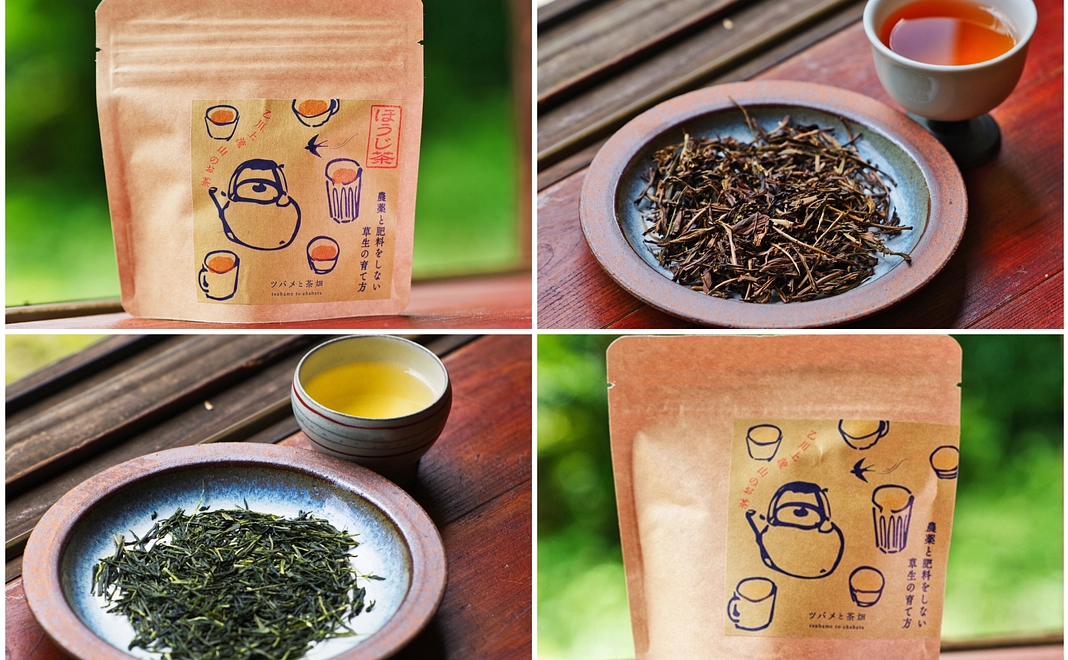 作り手応援コース（ツバメと茶畑）