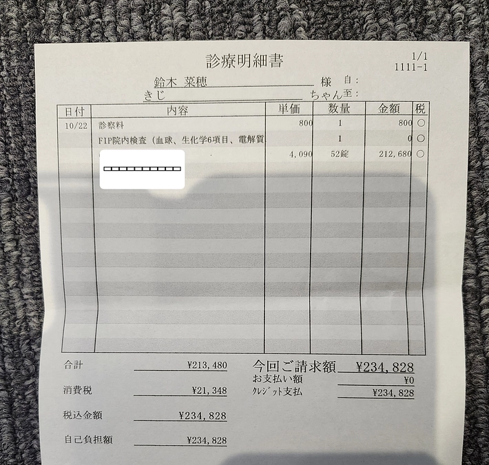 キジくんFIP治療費について（10/22）