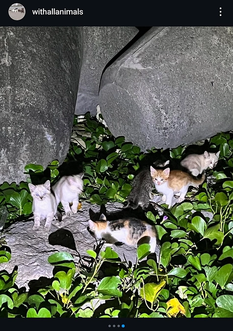 １月２６日は、轟くんとちゃんぷちゃんのお届けでした♪