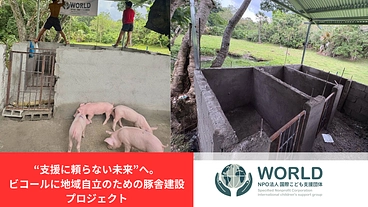“支援に頼らない未来”へ。ビコールに地域自立のための豚舎を のトップ画像