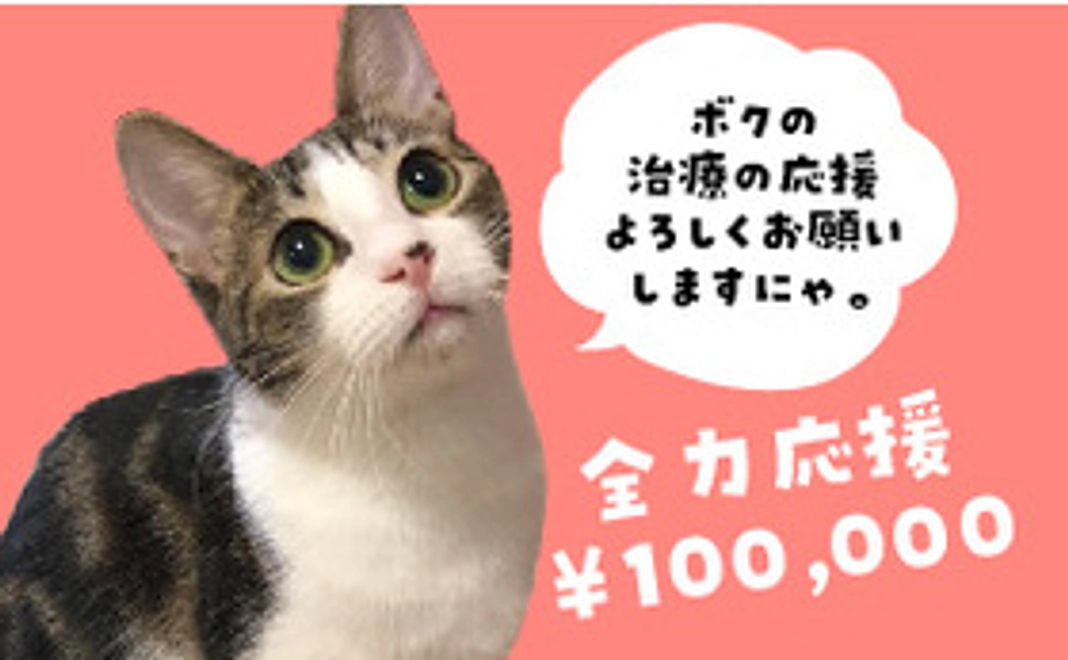 保護猫太郎を全力応援コース100,000円