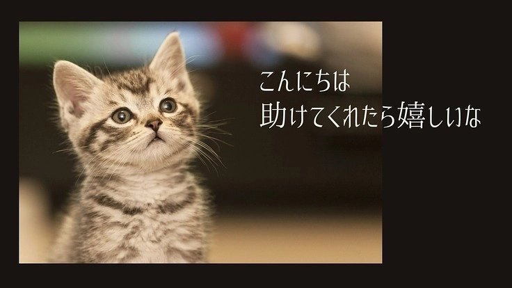 SDGｓ　日本の社会貢献団体の活動を独立FPと一緒に助ける！