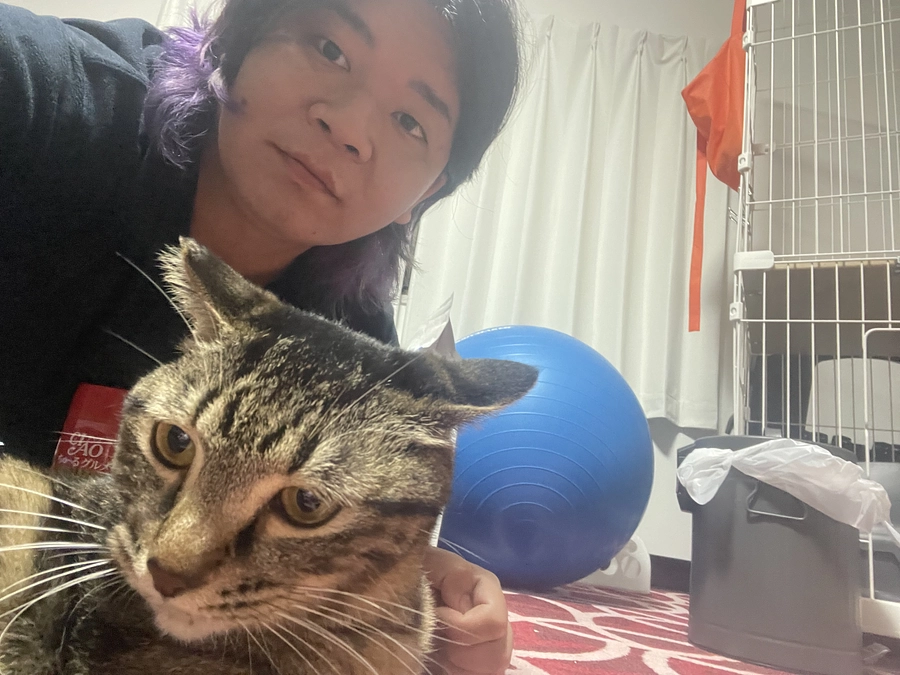 プロジェクト資金が目標額に達成しました